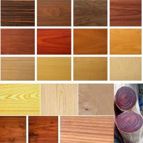 Các loại gỗ (Ảnh: Internet)