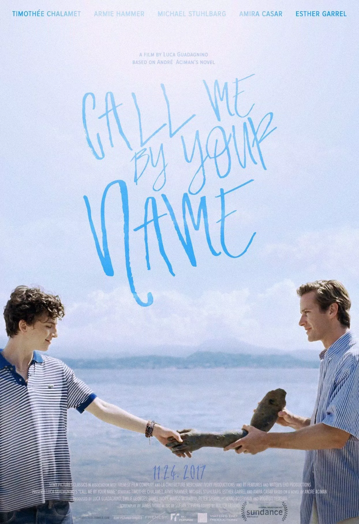 Poster phim Call Me By Your Name (Ảnh: Internet)
