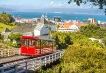 Wellington new zealand