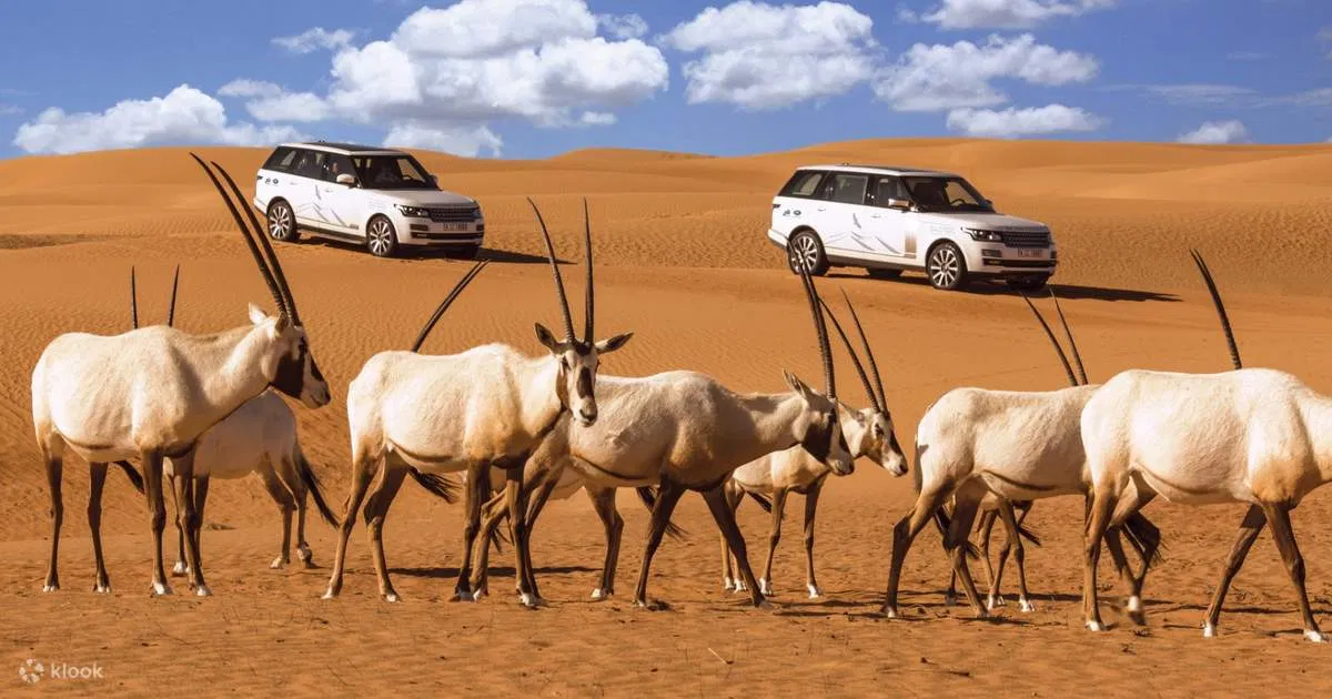 Dubai Desert Conservation Reserve - nguồn: Internet Dubai Desert Conservation Reserve - nguồn: Internet