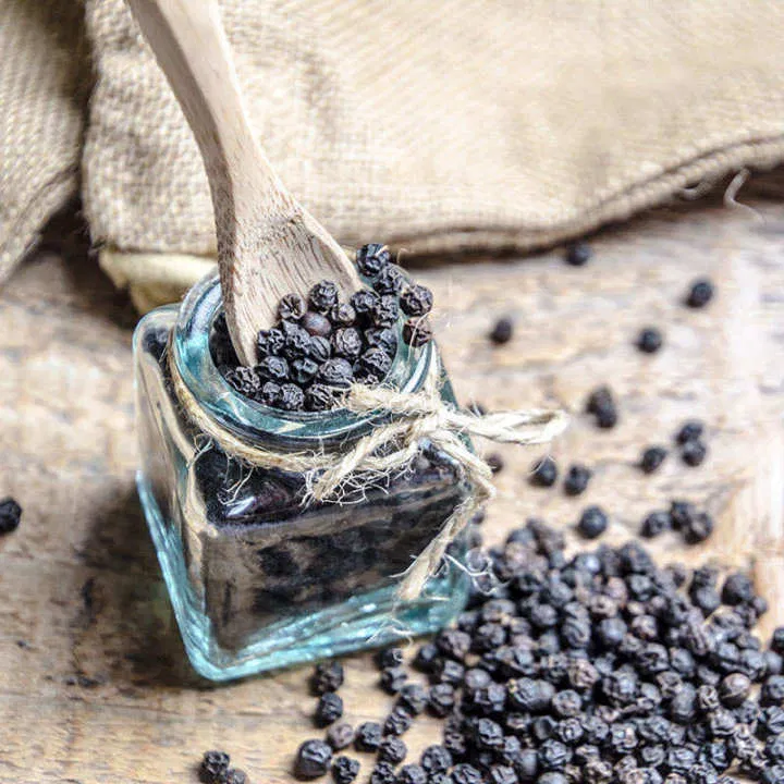 Dùng hạt tiêu có thể đuổi chuột (Ảnh: Internet) Dùng hạt tiêu có thể đuổi chuột (Ảnh: Internet)