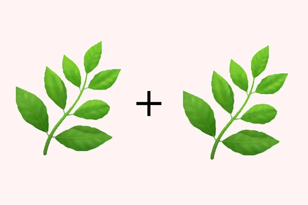 Cặp đôi nguyên tố Nước - Nước