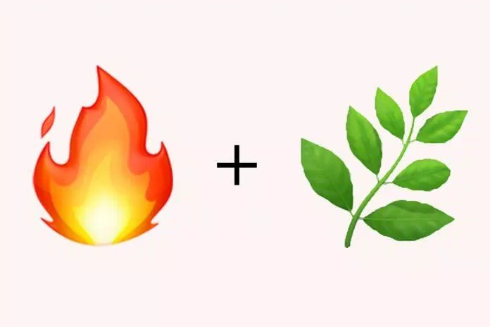 Cặp đôi nguyên tố Lửa - Đất Cặp đôi nguyên tố Lửa - Đất