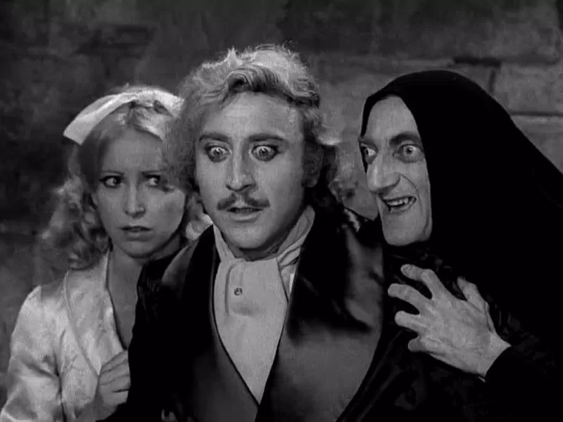 Young Frankenstein (Ảnh: Internet)