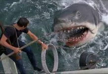 Jaws (Ảnh: Internet)