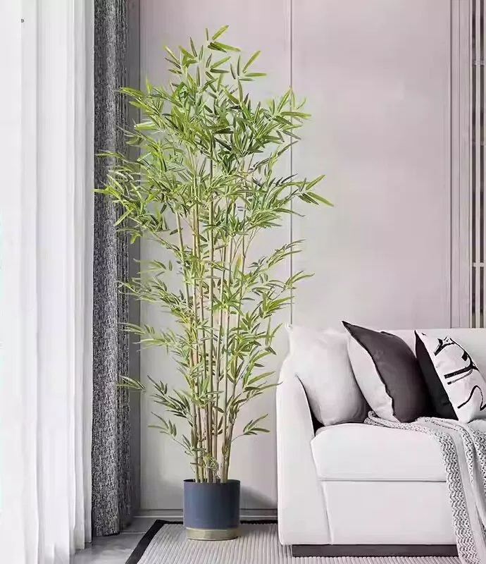 Những lưu ý phong thủy khi trồng cây trúc cảnh để chặn tà ma, vượng vận khí (Ảnh: Internet) Những lưu ý phong thủy khi trồng cây trúc cảnh để chặn tà ma, vượng vận khí (Ảnh: Internet)