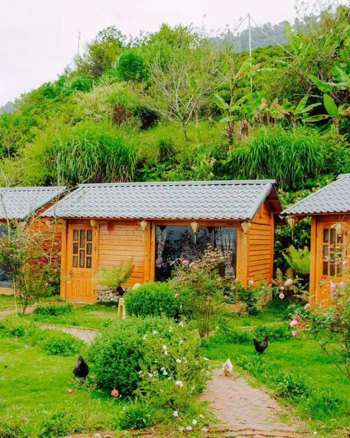 Pơ Mu Homestay (Nguồn: Internet) Pơ Mu Homestay (Nguồn: Internet)