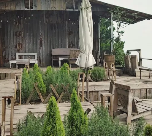 Tiệm Cafe Cỏ Lạ. (Nguồn ảnh: Internet)