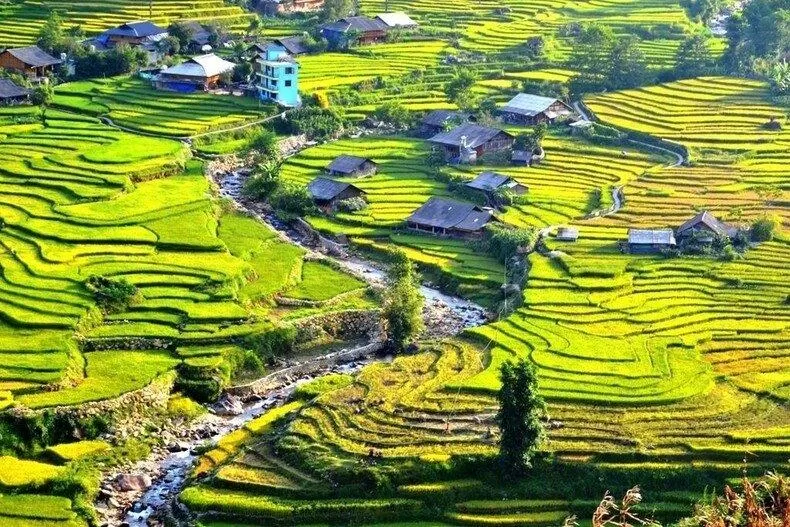 Sa Pa (Nguồn: Internet)