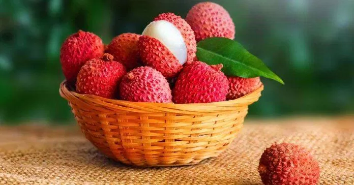 Người mắc bệnh tiểu đường nên ăn vải với số lượng hạn chế (Nguồn: Internet) Người mắc bệnh tiểu đường nên ăn vải với số lượng hạn chế (Nguồn: Internet)