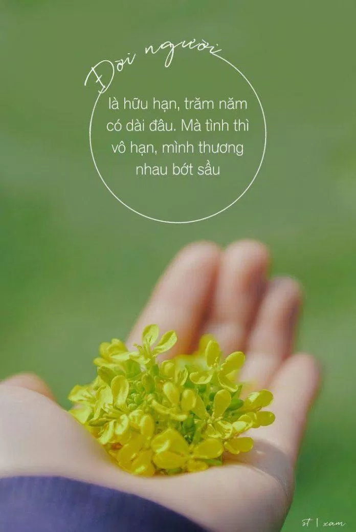 999+ stt yêu đời, cap vui vẻ yêu đời, stt vui tươi yêu đời bing chilling nhất - BlogAnChoi 999+ Stt Yêu Đời, Cap Vui Vẻ Yêu Đời, Stt Vui Tươi Yêu Đời Bing Chilling Nhất - Bloganchoi