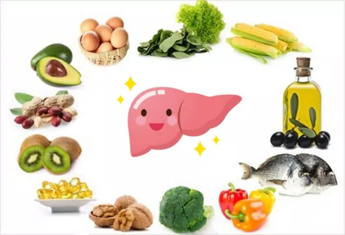 Suy dinh dưỡng trong bệnh gan (Nguồn: Internet)