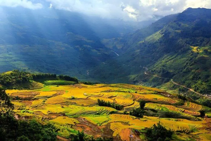 Thung Lũng Mường Hoa (Nguồn: Internet) Thung Lũng Mường Hoa (Nguồn: Internet)