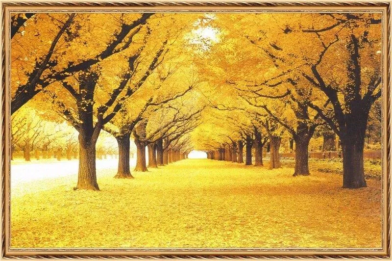 Chọn tranh phong thủy hợp mệnh Hỏa (Ảnh: Internet) Chọn tranh phong thủy hợp mệnh Hỏa (Ảnh: Internet)