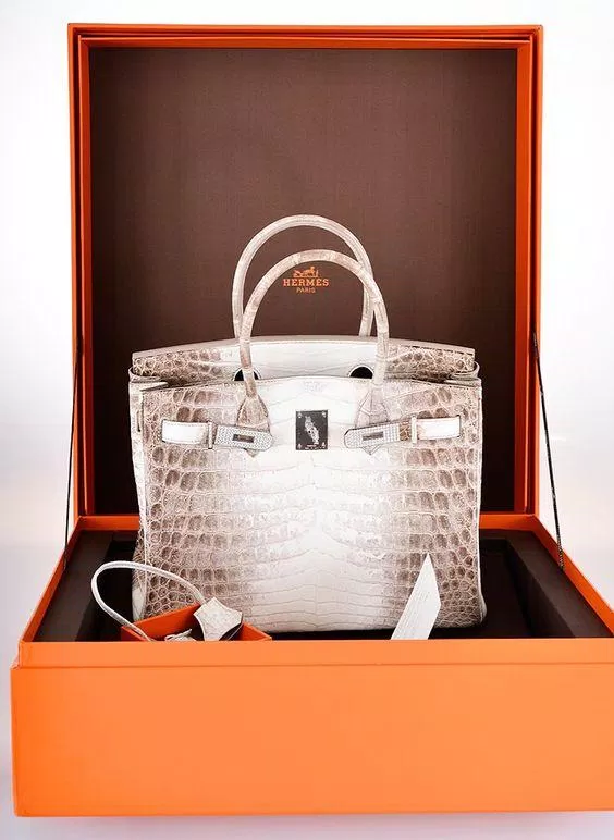 10 bí mật khiến Hermès Birkins là khoản đầu tư tốt hơn cổ phiếu: Có tiền chưa chắc mua được (Ảnh: Internet)