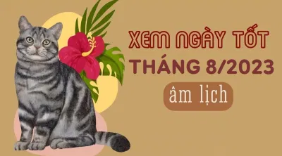 Xem ngày đẹp tháng 8/2023: Ngày tốt tháng 8/2023 cho từng việc cụ thể (Ảnh: Internet)