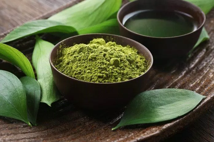 Bột trà xanh được sử dụng trong cả ẩm thực và làm đẹp (Nguồn: Internet)