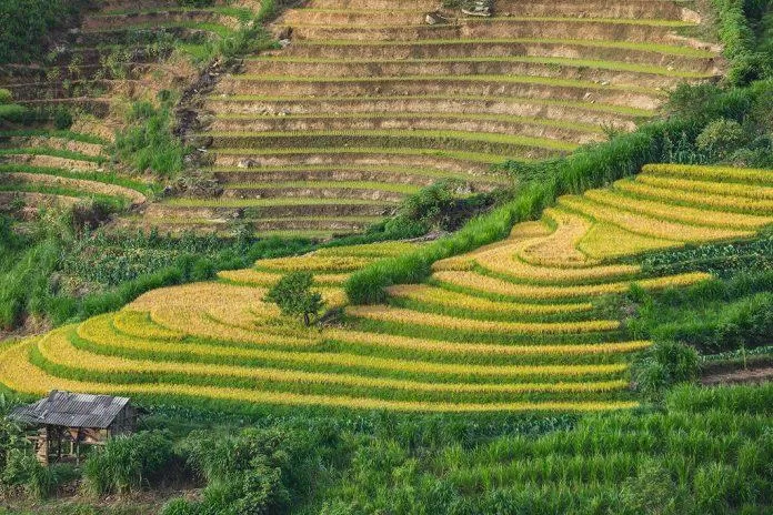 Bản Mù (Nguồn: Internet) Bản Mù (Nguồn: Internet)