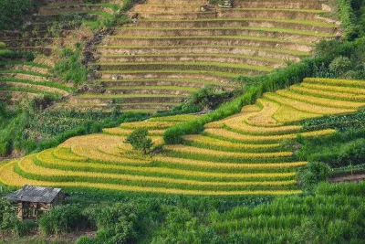 Bản Mù (Nguồn: Internet) Bản Mù (Nguồn: Internet)