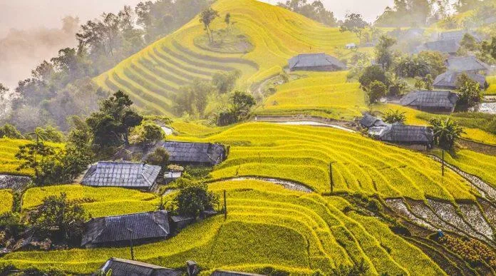 Ruộng bậc thang Bản Phùng (Nguồn: Internet) Ruộng bậc thang Bản Phùng (Nguồn: Internet)