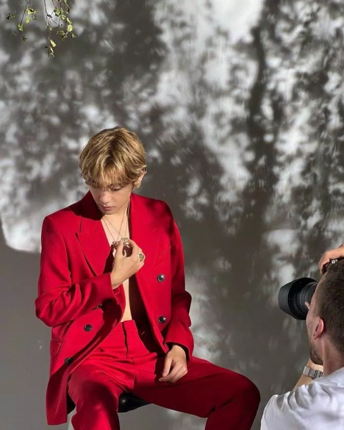 V BTS (Ảnh: Internet)