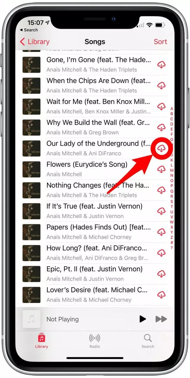 Cách tải nhạc từ Apple Music (Ảnh: Internet)