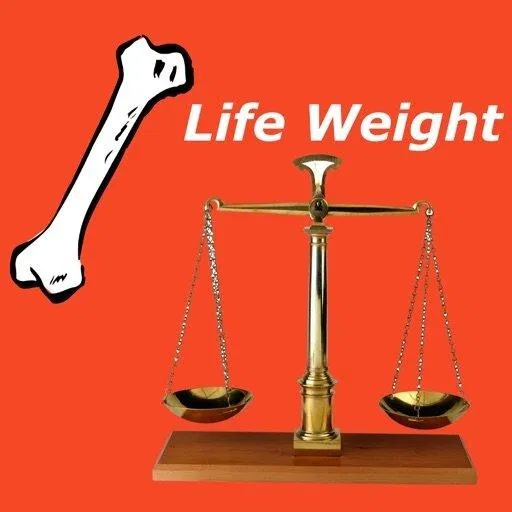 Lá số bát tự nặng hay nhẹ ảnh hưởng gì đến vận mệnh của bạn? Bát tự Bát tự tứ trụ lá số bát tự luận giải Bát tự tính bát tự