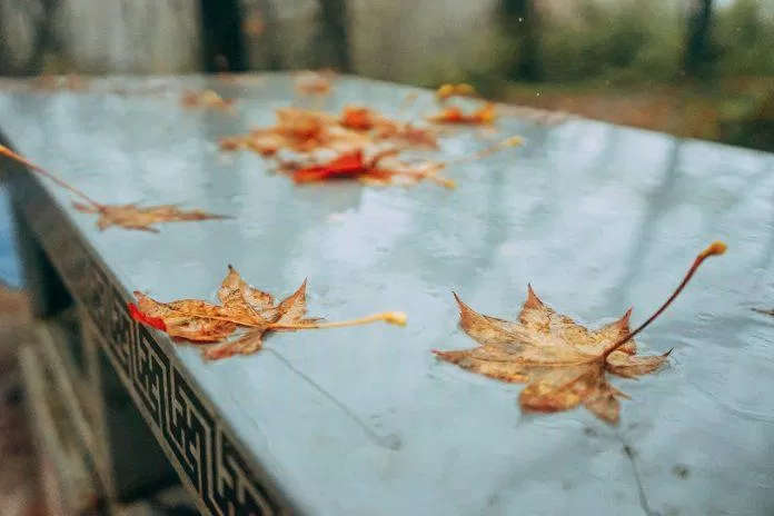 500+ câu nói hay về mùa thu, thơ mùa thu dịu dàng, thả thính mùa thu lãng mạn nhất (Ảnh: Internet)