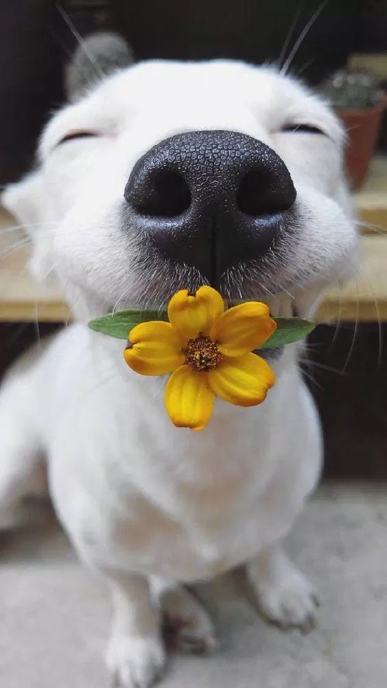 Nguồn: Internet Nguồn: Internet