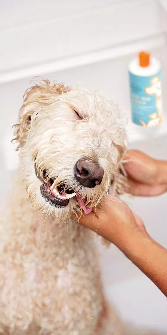 Nguồn: Internet Nguồn: Internet