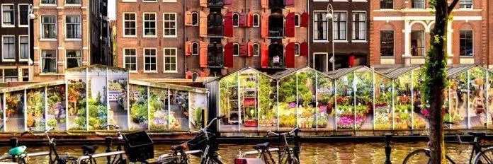Chợ hoa Bloemenmarkt - nguồn: Internet Chợ hoa Bloemenmarkt - nguồn: Internet