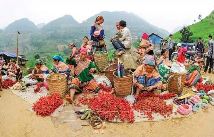 Chợ Quyết Tiến (Nguồn: Internet) Chợ Quyết Tiến (Nguồn: Internet)