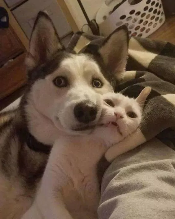 Nguồn: Internet Nguồn: Internet