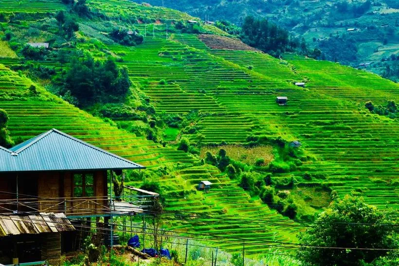 Dò Gừ Homestay (Nguồn: Internet) Dò Gừ Homestay (Nguồn: Internet)