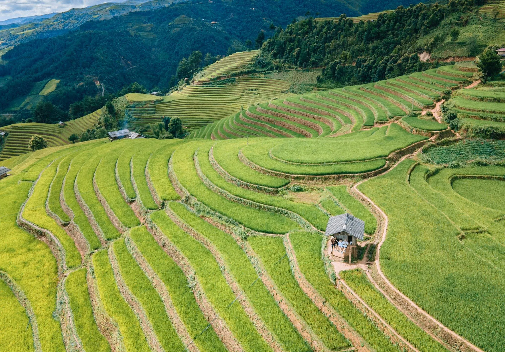 Đồi mâm xôi (Nguồn: Internet)