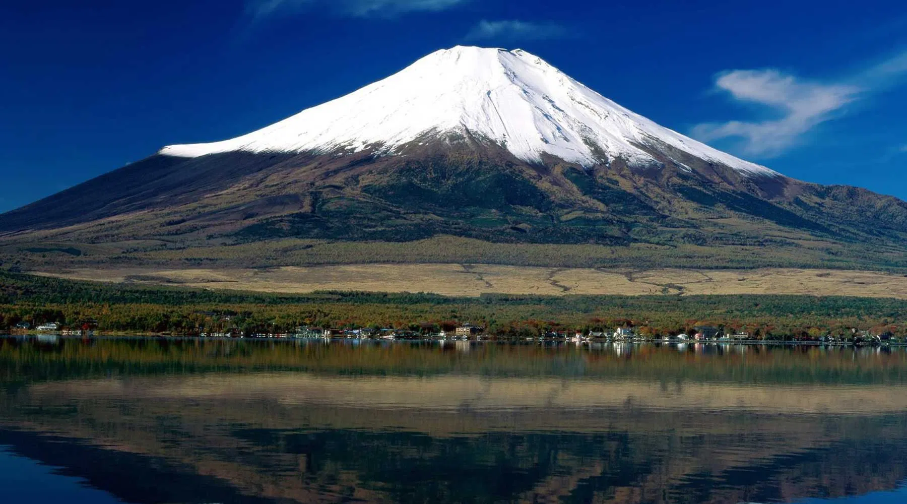 Địa điểm thu hút lượng lớn khách du lịch + Nguồn: internet