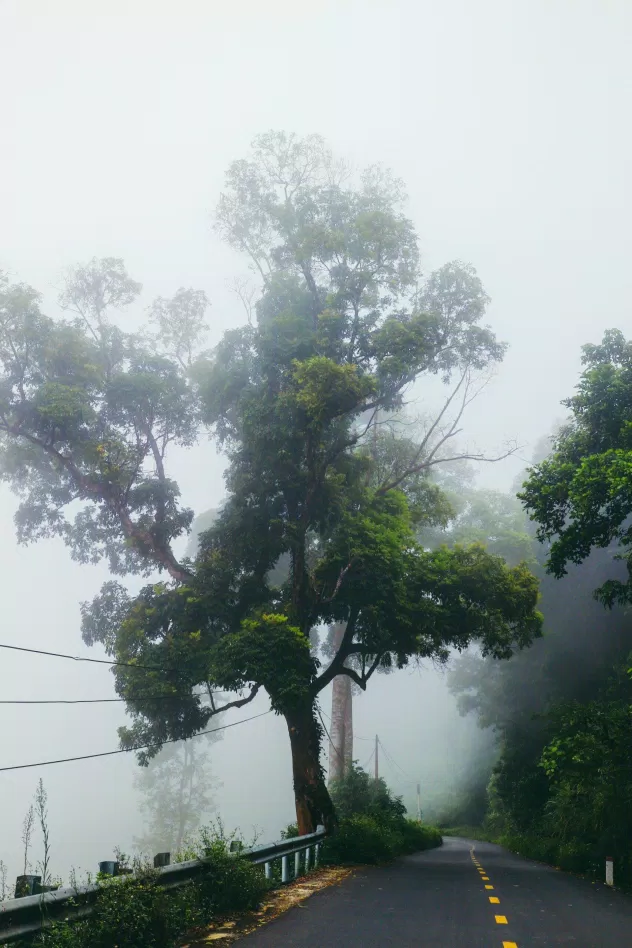 Đường đèo Khánh Sơn mỗi sớm mai khi đông về. (Nguồn: internet) Đường đèo Khánh Sơn mỗi sớm mai khi đông về. (Nguồn: internet)
