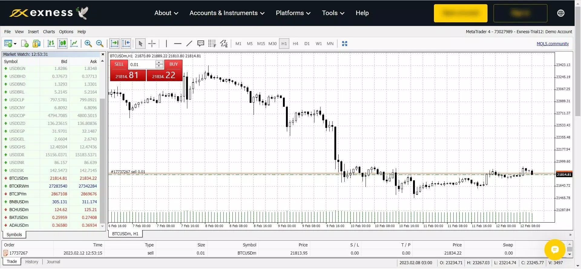 Nền tảng MetaTrader 4 trên web (Ảnh: Internet)