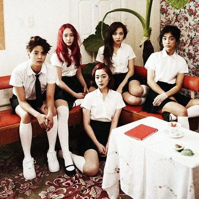 f(x) (Ảnh: Internet)