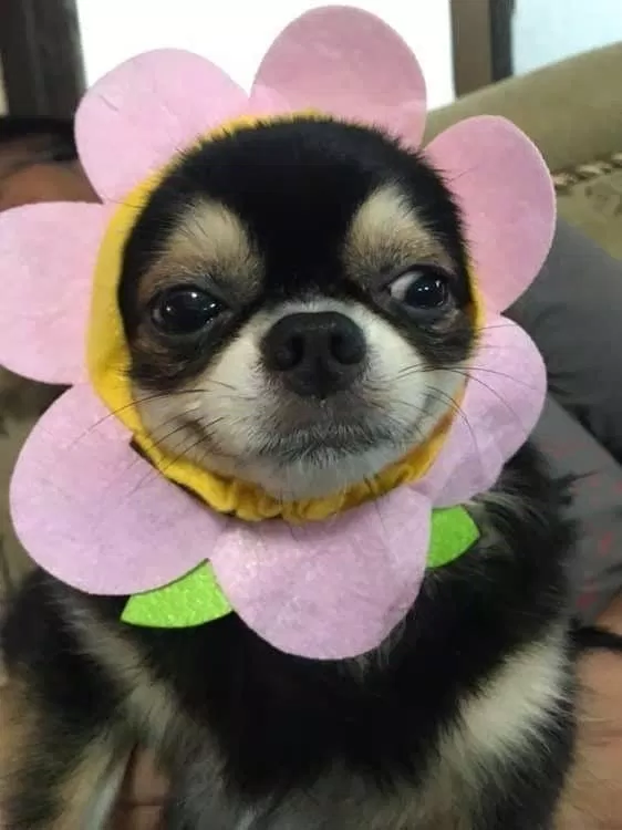 Nguồn: Internet Nguồn: Internet