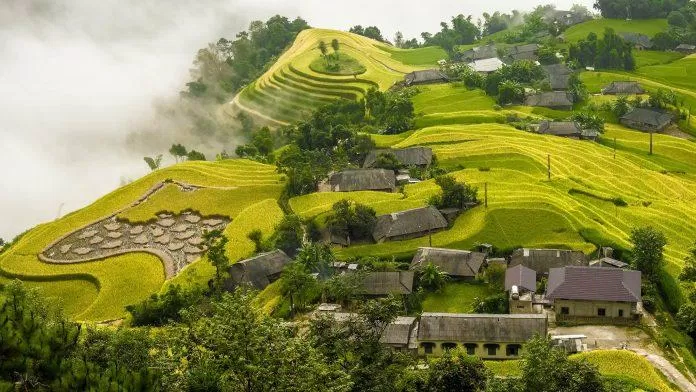 Hoàng Su Phì (Nguồn: Internet) Hoàng Su Phì (Nguồn: Internet)