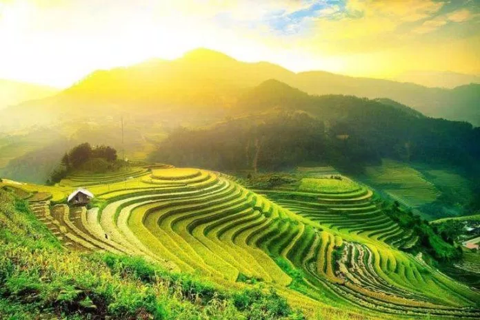 Hoàng Su Phì (Nguồn: Internet) Hoàng Su Phì (Nguồn: Internet)