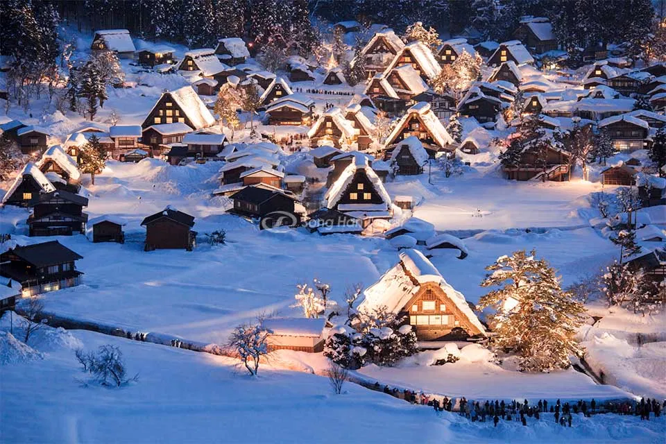 Những cách chống lão hóa từng là hot trend thế kỉ 20 (Ảnh: Internet)