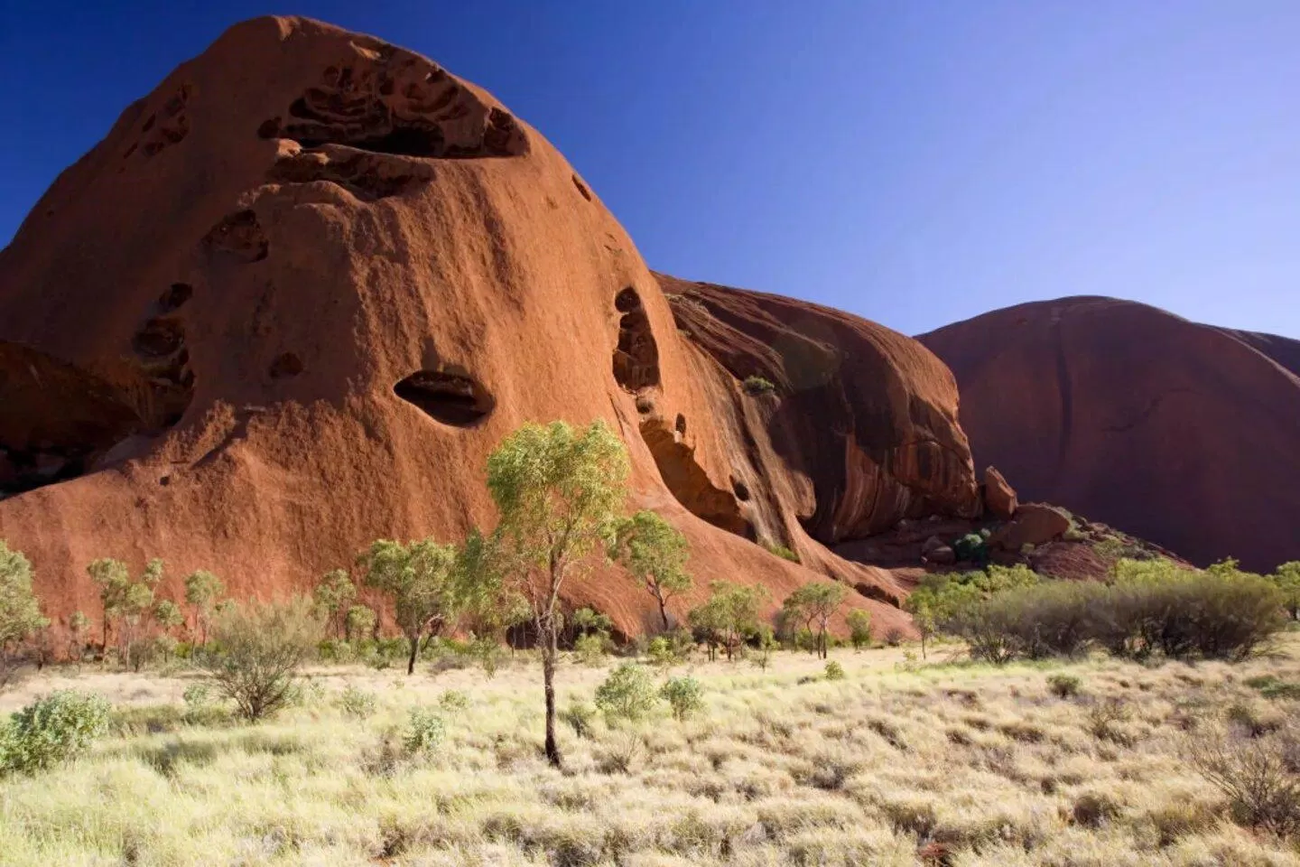 Màu Australien (Ảnh: Internet)