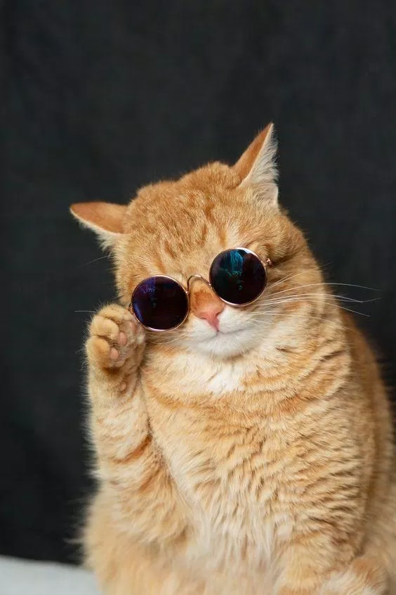 Nguồn: Internet Nguồn: Internet