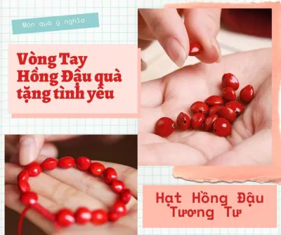 Hồng đậu hay đậu tương tư. (Ảnh: Internet) Hồng đậu hay đậu tương tư. (Ảnh: Internet)