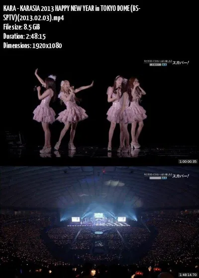 KARA biểu diễn tại Tokyo Dome (Ảnh: Internet)