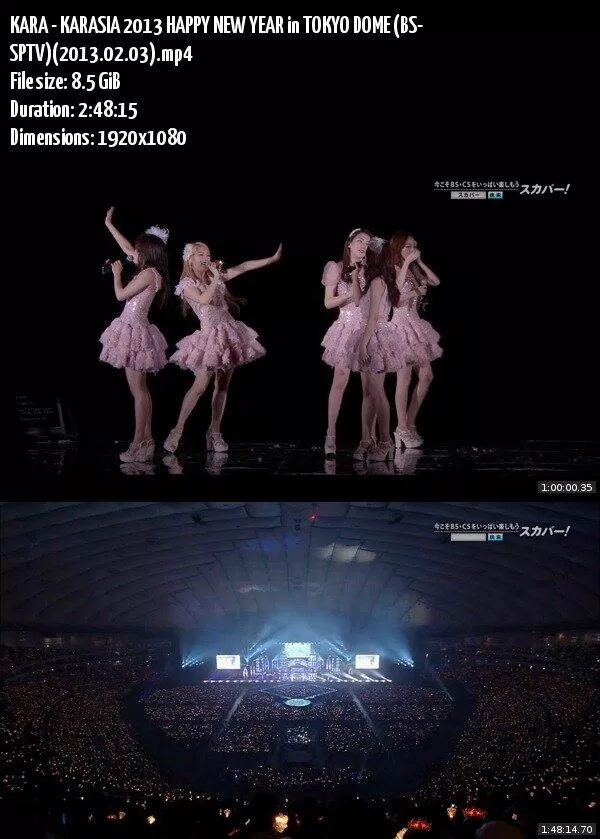 KARA biểu diễn tại Tokyo Dome (Ảnh: Internet)