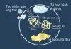 Những hiểu biết cơ bản về ung thư (Nguồn: Internet)
