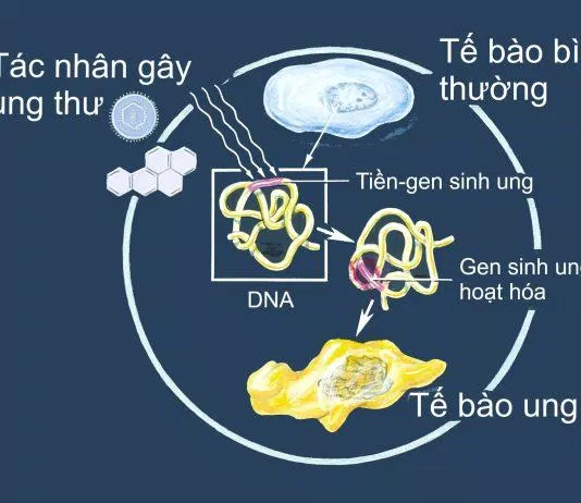 Những hiểu biết cơ bản về ung thư (Nguồn: Internet)